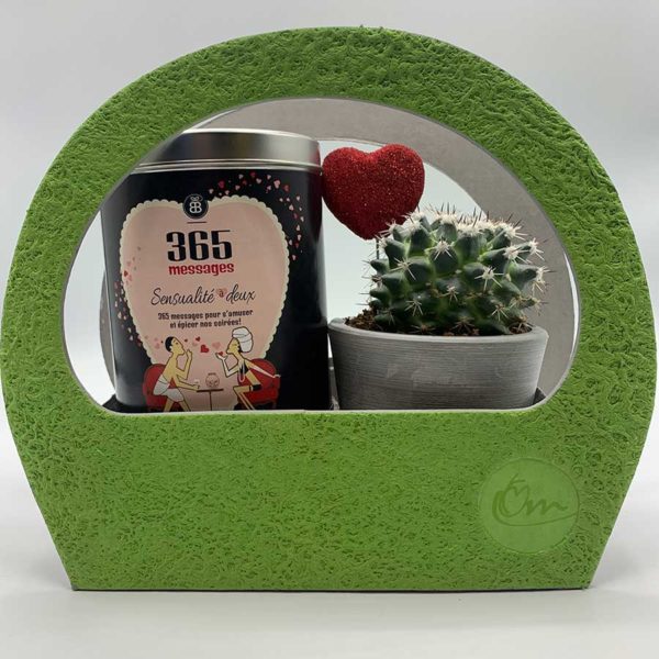 cadeaux St-Valentin avec cactus