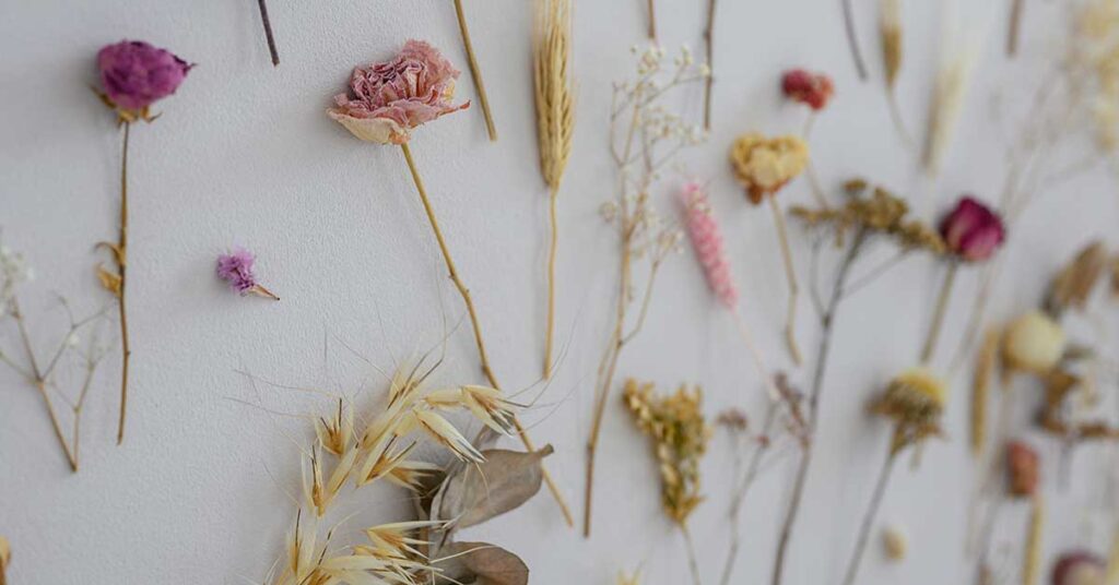 THE ART OF DRYING FLOWERS