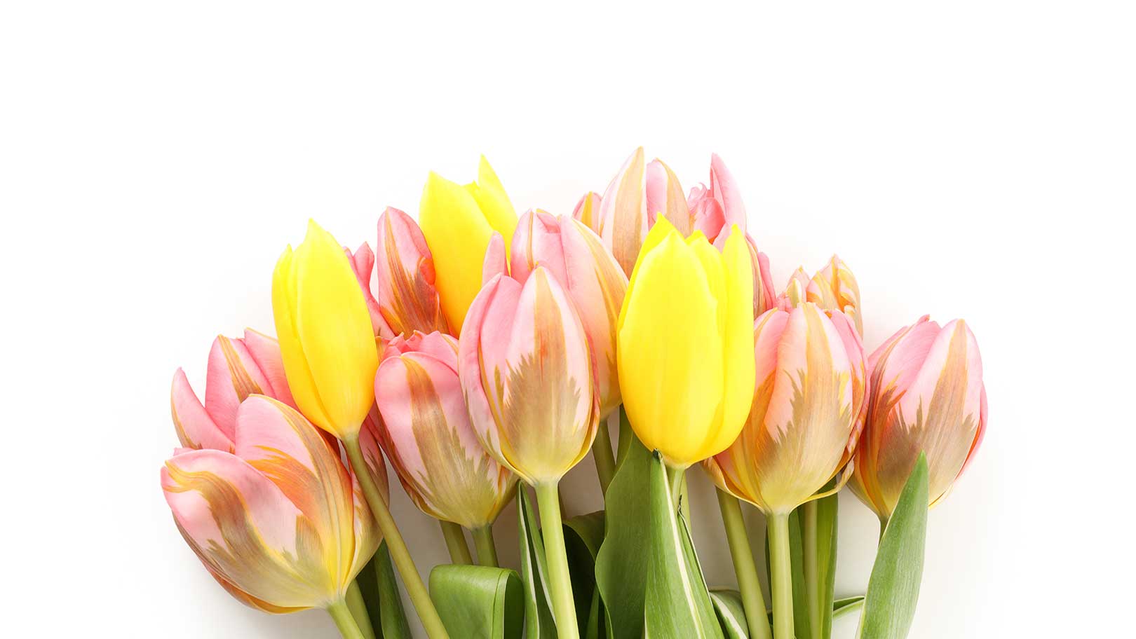 Célébrez Pâques avec nos magnifiques bouquets de fleurs